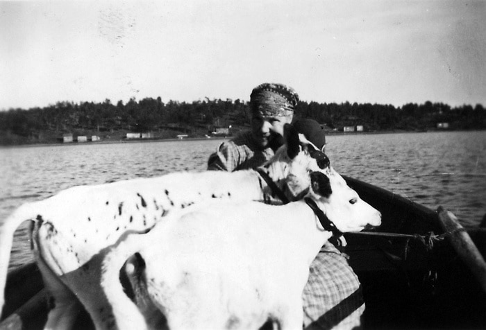 Bilden visar en kvinna som ror en båt. I båten finns två kalvar