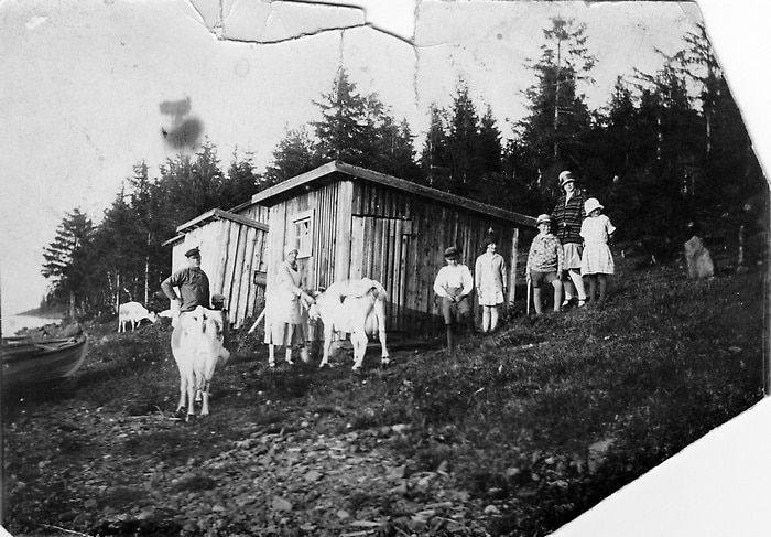 Bilden visar kor, barn och vuxna som står framför två skjul av trä,