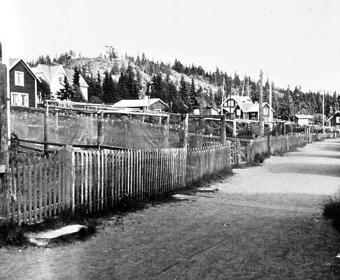 Bilden visar trästaket och gistvallar där det hänger nät